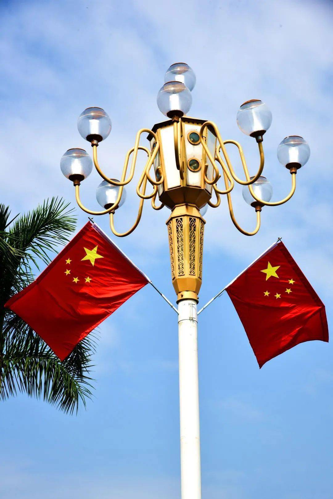 给我下载中国国旗(给我下载中国国旗的软件)